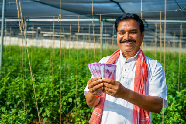 Happy smiling indian farmer counting money or currency at greenhouse - concept of profit, financial and agri business.